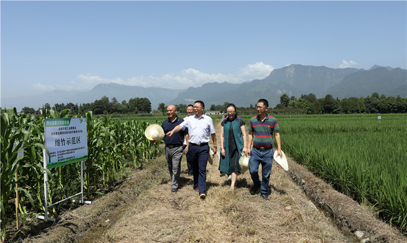 成测中心主任胡斯宪赴项目现场指导工作 (2).JPG