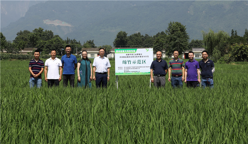 成测中心主任胡斯宪赴项目现场指导工作 (3).JPG